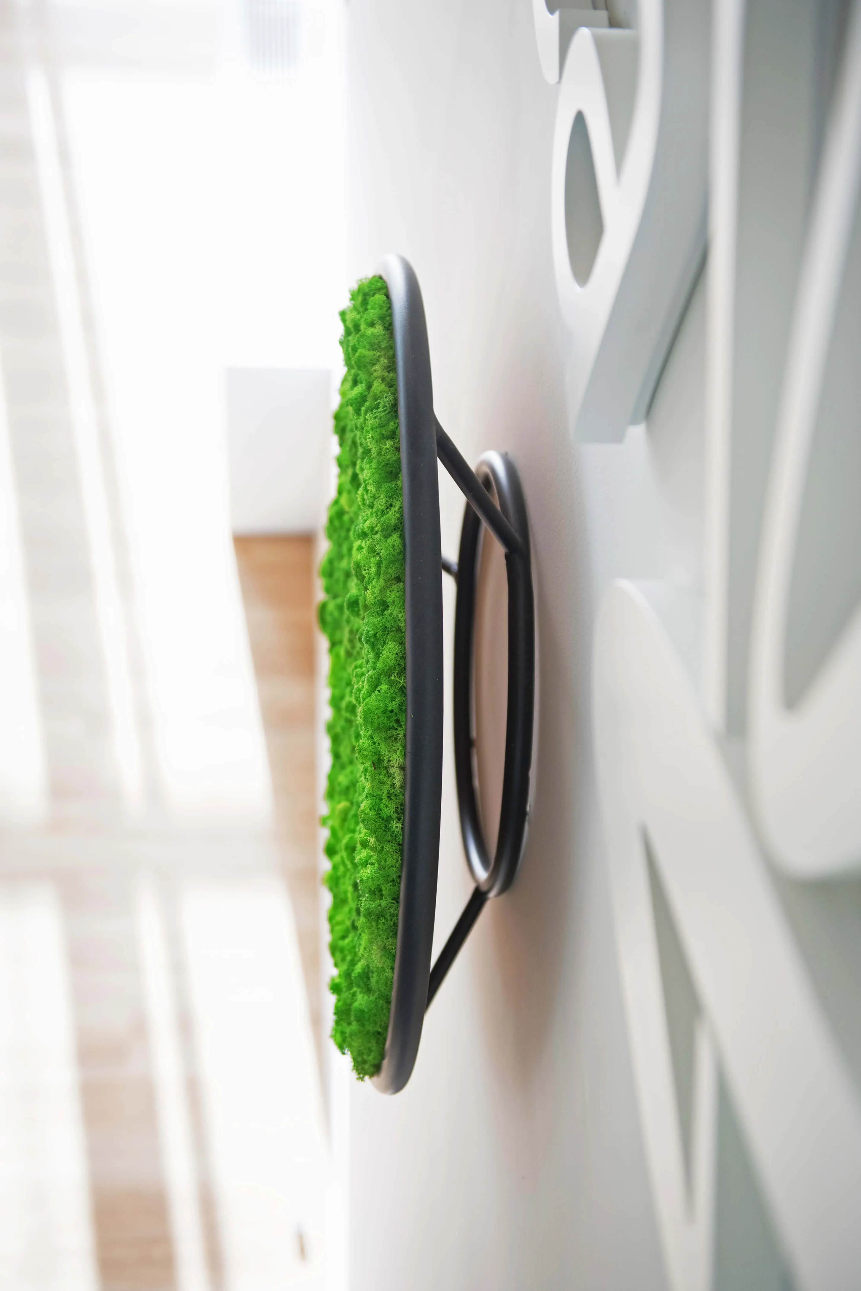 Circles Plant and Moss Wall Art